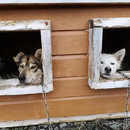 Tursenter ホリデーパーク Svensby